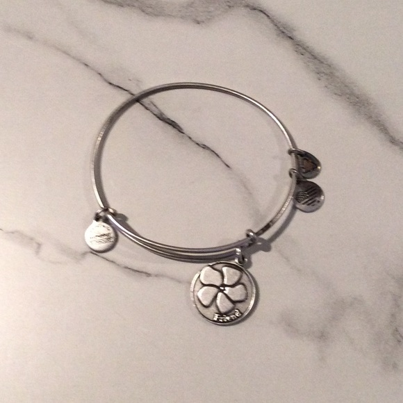 Alex and Ani Silver Bangle Cham Bracelet. - Picture 2 of 3